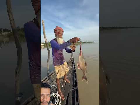 #fishing #fish #villagelife
