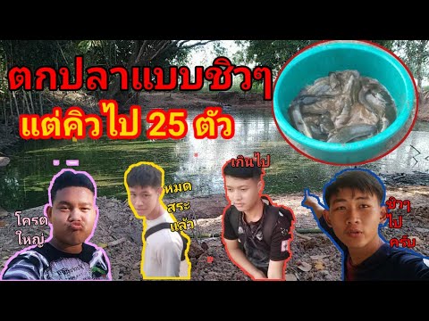 แข่งตกปลาแต่รวมกันได้25ตัวปลาดุกโครตใหญ่เเข่งที่ไม่เหมือนเเข