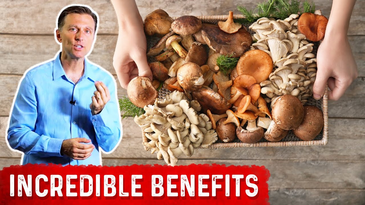 Seven Amazing Mushrooms and Their Powerful Properties