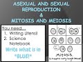 Exploring Asexual and Sexual Reproduction