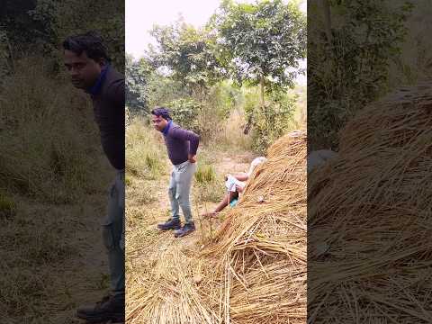 हो गया री काम Sarita Bhauji jaunpuriya #shorts #shortvideo #shortvideoyoytubeshorts