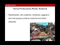 Understanding Plant Toxins