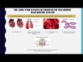 Musculoskeletal and Cardiovascular Adaptations