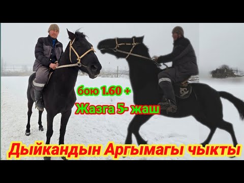 Дыйкандын аргымагы чыкты сатылат тел: 0223939991