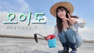 아무도 없는 갯벌에서..🌊