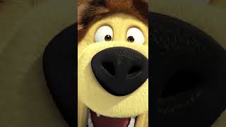 プップー！ マーシャがうんてん！ @MashaBearJAPAN #shorts