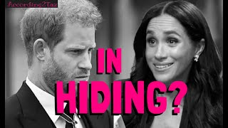 IN HIDING - Is It Over Or Is Another Rebrand Coming Soon?