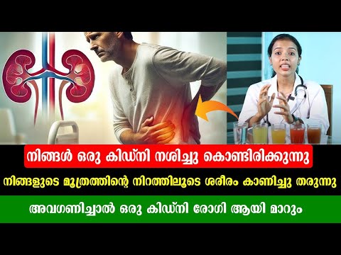 മൂത്രത്തിന്റെ ഈ ലക്ഷണങ്ങൾ അവഗണിക്കരുത് | കിഡ്‌നി രോഗി ആയി മാറും | KIDNEY FAILURE SYMPTOPMS | DR.JUHI