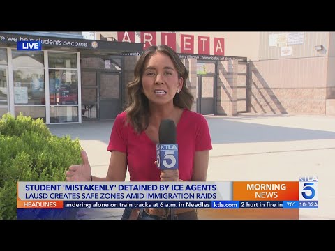 YouTube video thumbnail: Teen With Disabilities Reportedly Detained by ICE Outside L.A. School