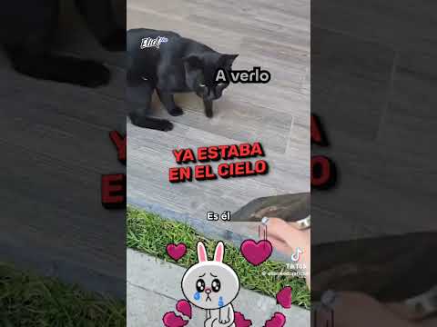 descansa humita 😭😭😭😭