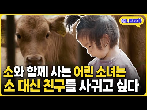 "나는 친구들이 하나도 없어" 소 말고 친구를 사귀고 싶은 시골소녀 I KBS 나의 친구, 나의 들풀 240119 방송