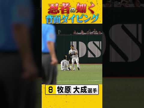 獅子連弾!背面ダイビングキャッチ #牧原大成 #sbhawks #全新