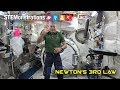 Newton's Third Law Demonstration Questions