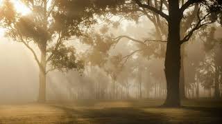 Meditation for awakening and charging positive energy, the mood for productive work.