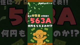 563Aの初回分配｜3ヶ月分の運用で発生した希薄化の可能性 #563A #高配当株 #カバードコール