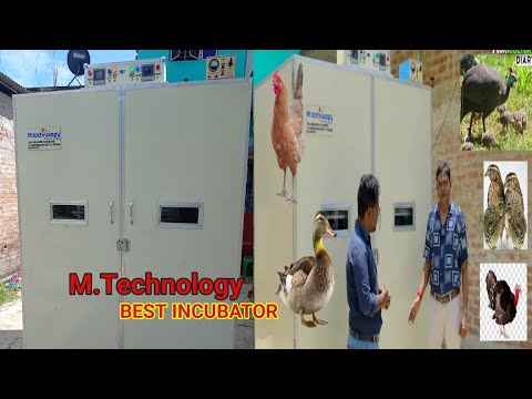 Incubator Machine || First Time in India Best Incubator Machine || M.Technology Incubator🔥🔥🔥