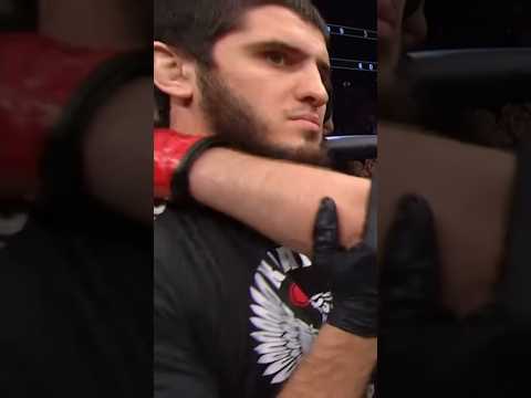Ислам Мотивирует Хабиба / #mma #ufc #shorts #youtubeshorts #reels #fighting #2024