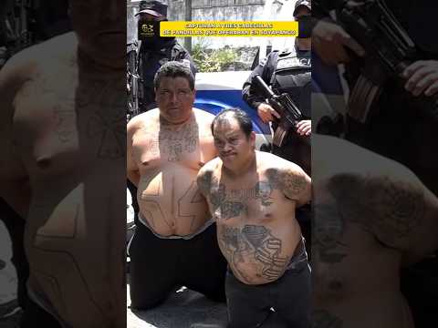 🚨👮♂️ Tres cabecillas de pandillas fueron capturados en Soyapango 🔥⚖️ #elsalvador