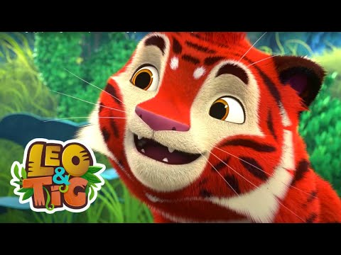 Fora, passarinhos! | Leo & Tig | Desenhos infantil 🐯🦁