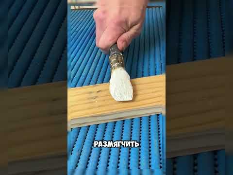 Как вернуть к жизни засохшую кисть!