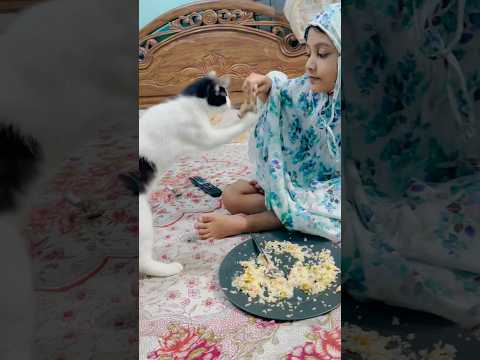 খাইতে দিমু কে তোর মাইয়ারে🙄😤 #cat #anmals #sandy #funny #foryou #share #shorts #trending #viral