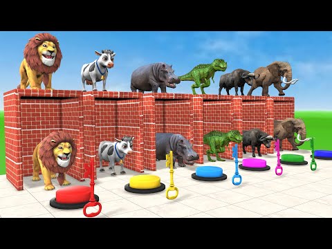 Long Slide Game With Elephant Gorilla Buffalo Hippopotamus Tiger 3d Animal Game Funny 3d Animals