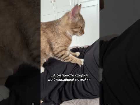Не растерялся