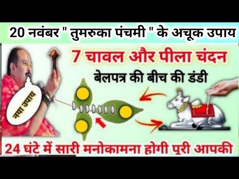 20 नवंबर तुमरुका पंचमी के उपाय | बेलपत्र और चावल का ये उपाय करना | pradeep mishra budhwar upay