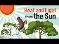 Understanding the Sun's Role