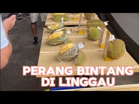 DURIAN DURIHITAM MINGGIR DULU.