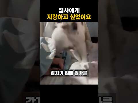 집사에게 자랑하고 싶었어요