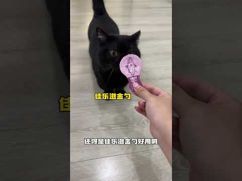 【#一只黑糖啵啵】养黑猫的刺激程度又增加了... #舔金勺就是爽 #猫勺就选金勺#佳乐滋金勺