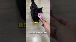 【#一只黑糖啵啵】养黑猫的刺激程度又增加了... #舔金勺就是爽 #猫勺就选金勺#佳乐滋金勺