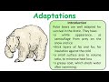 Adaptations for Water Conservation in Animals