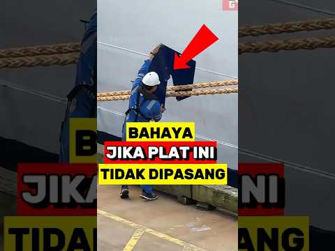 Kapal Harus Punya Pelat anti Tikus ini‼️