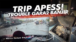 HABIS NERJANG BANJIR MALAH GINI JADINYA ‼️  Trip Bus JAYA UTAMA Semarang-Pati