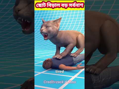 তোমার পোষা বিড়াল যদি তোমার শত্রু হতো? 😲 #3danimation #cat #facts #bangla #story