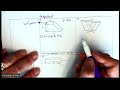 Volume of Prisms and Cylinders Explained