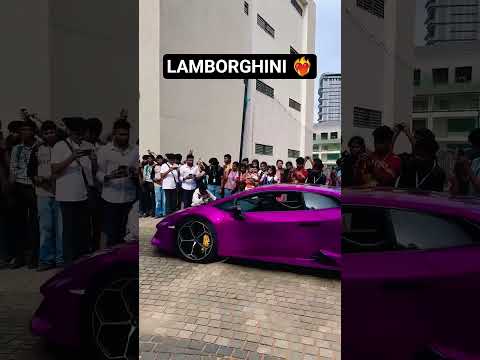 🔥 Two Lamborghinis Roar Together | Supercar Sound Madness 🚀 #trending #lamborghinni