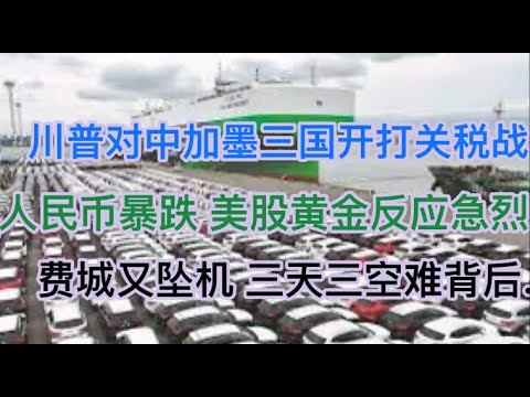 突发！川普对中加墨三国开打关税战，人民币暴跌，美股黄金反应激烈！费城又坠机，美国3天3空难的背后！(20250131第1357期)