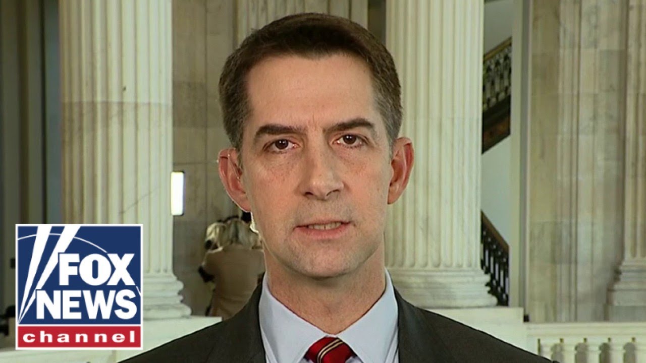 Tom Cotton: The US has had a ‘kick me’ sign on its back because of Biden