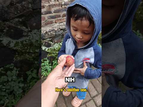 NGERJAIN BAGAS KASIH KULIT RAMBUTAN #trendingshorts
