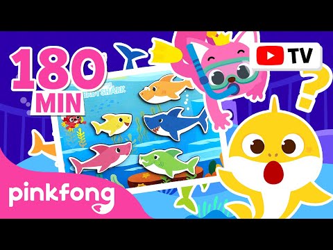 Hide and Seek with the Shark Family | +3 Hours of Story Time | Play with Baby Shark | Pinkfong