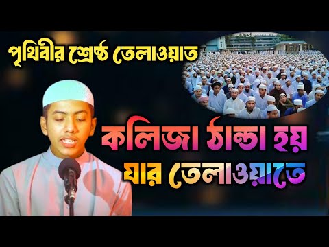 হাফেজ সালেহ আহমদ তাকরীম নতুন তেলাওয়াত ll saleh ahmad takrim tilwat ll হাফেজ তাকরীম ll তাকরীম ll