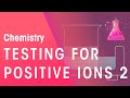Testing for Metal Ions and Ammonium Ion