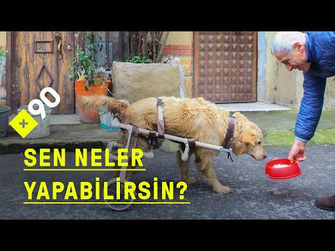 Sakat ve terk edilmiş bir köpeğe nasıl umut oldular?