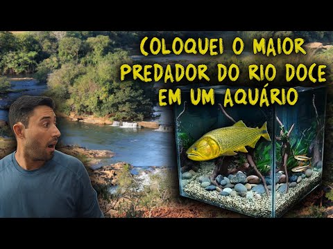 PESQUEI ACIDENTALMENTE ESSE PEIXE!