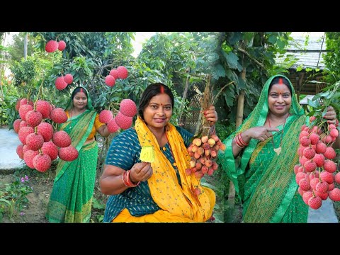 अब जब भी लिची  लेने जाए एक बार ये रेसिपी जरूर बनाकर खाएं बार बार यहीं बनाएंगे Litchi Icecream 🍑