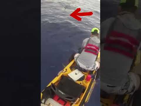 BRUTAL ENCUENTRO EN KAYAK 😨😰