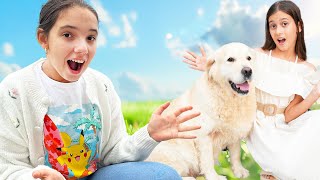 🐶 Îl ADOPTĂM pe MAX în FAMILIA MAREI 🥳 La mulți ani, Misha ❗️